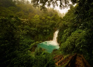COSTA RICA - MARESME DONA